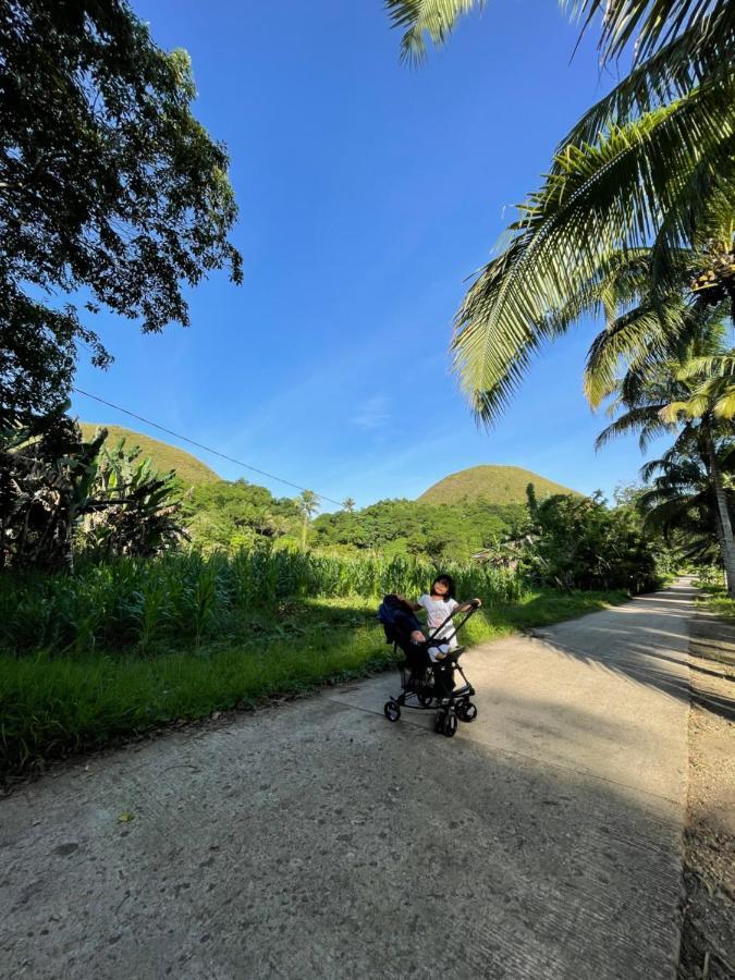 Casa Aguelo Chocolate Hills Bed & Breakfast Carmen  Bagian luar foto