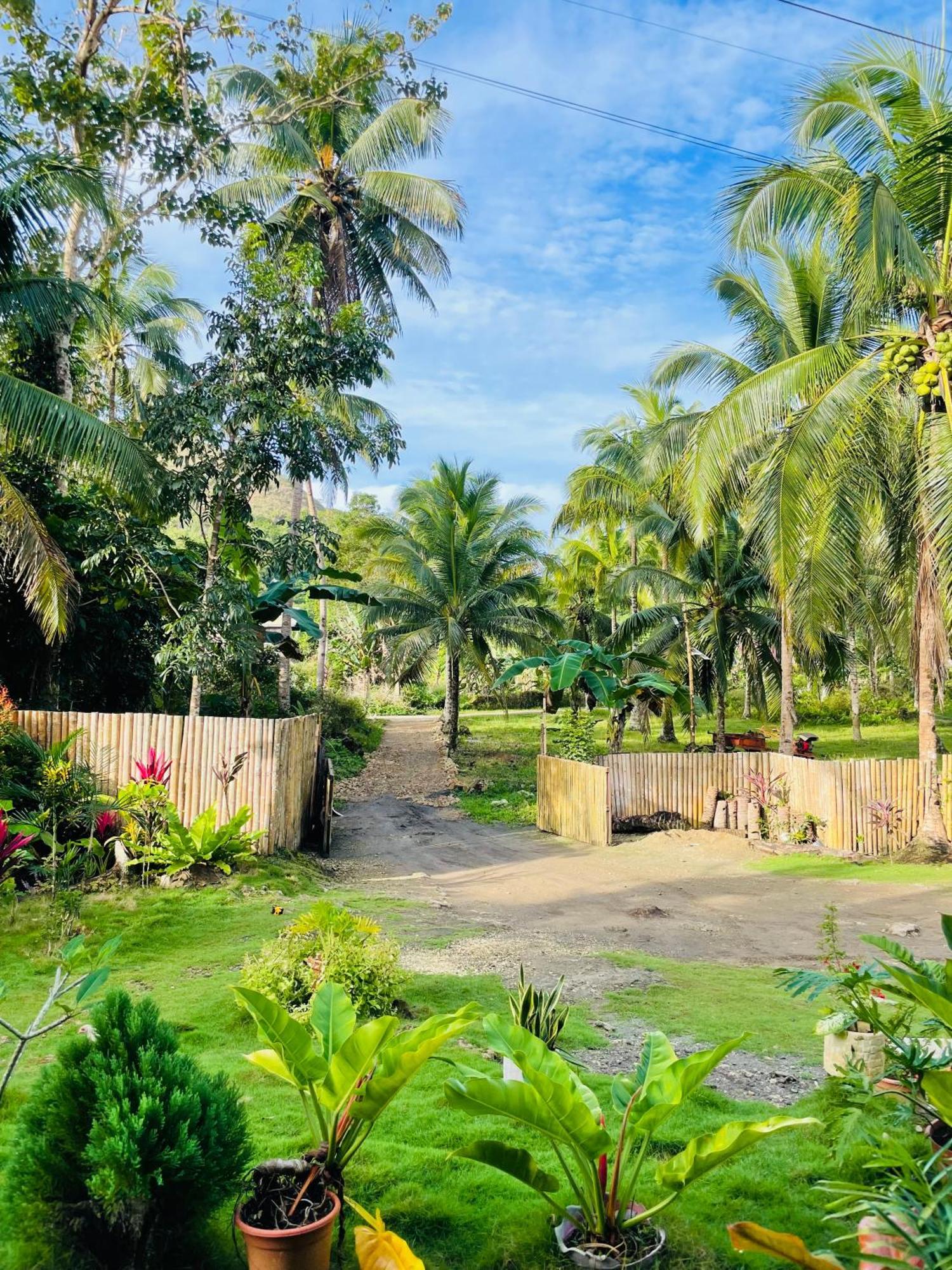 Casa Aguelo Chocolate Hills Bed & Breakfast Carmen  Bagian luar foto