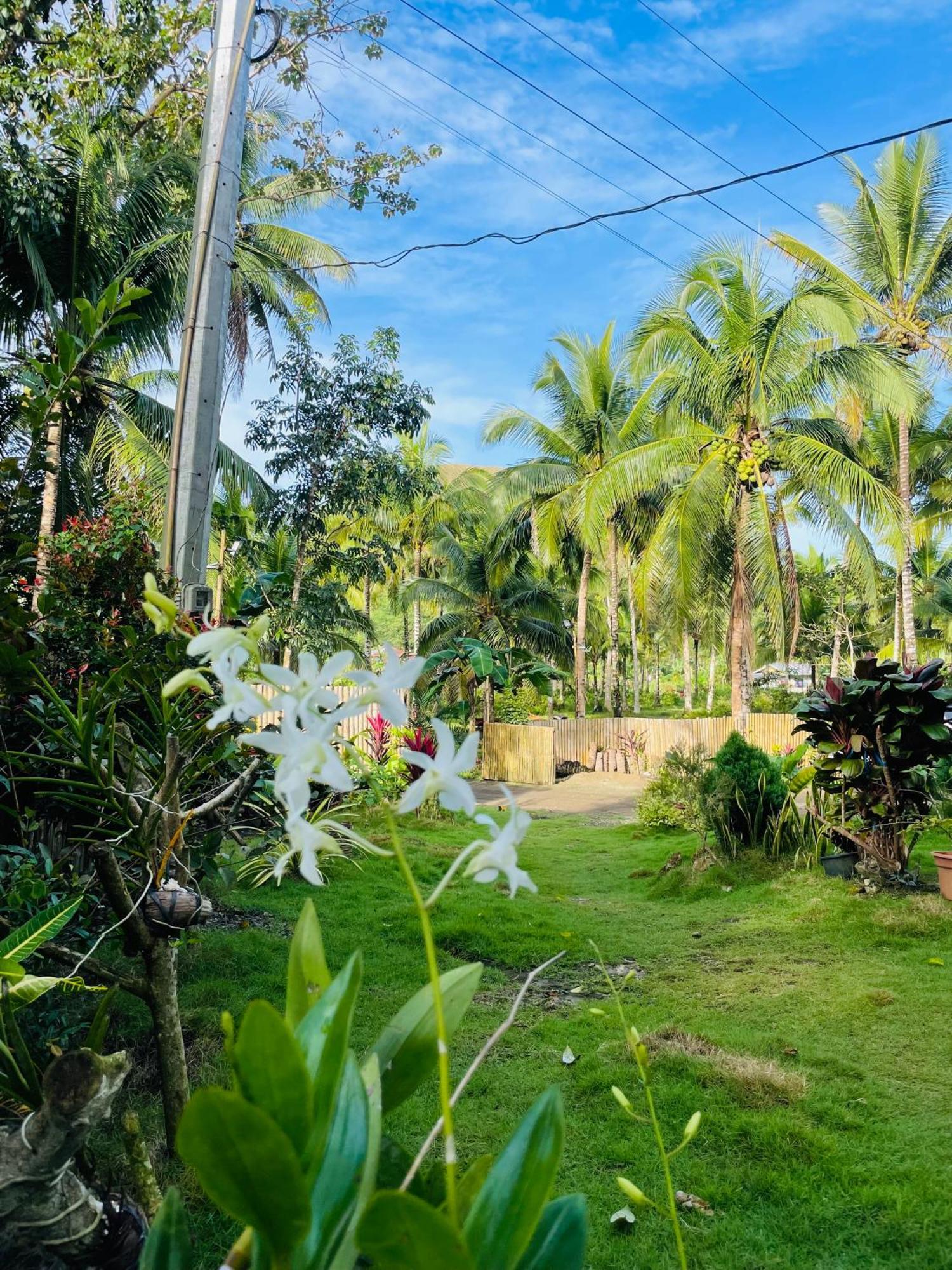 Casa Aguelo Chocolate Hills Bed & Breakfast Carmen  Bagian luar foto